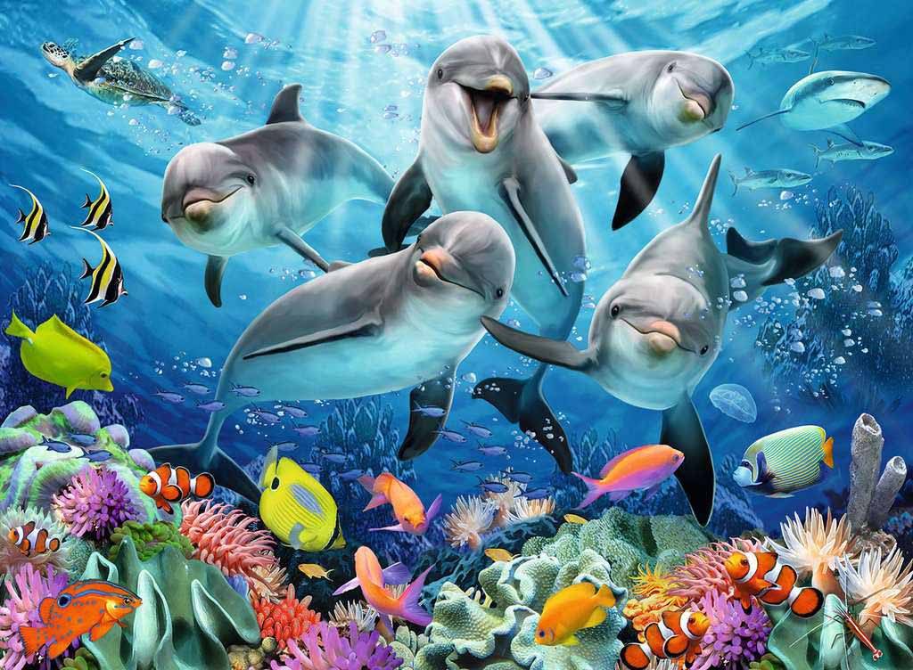 Dolphins in the Coral Reef Sea Life Jigsaw Puzzle