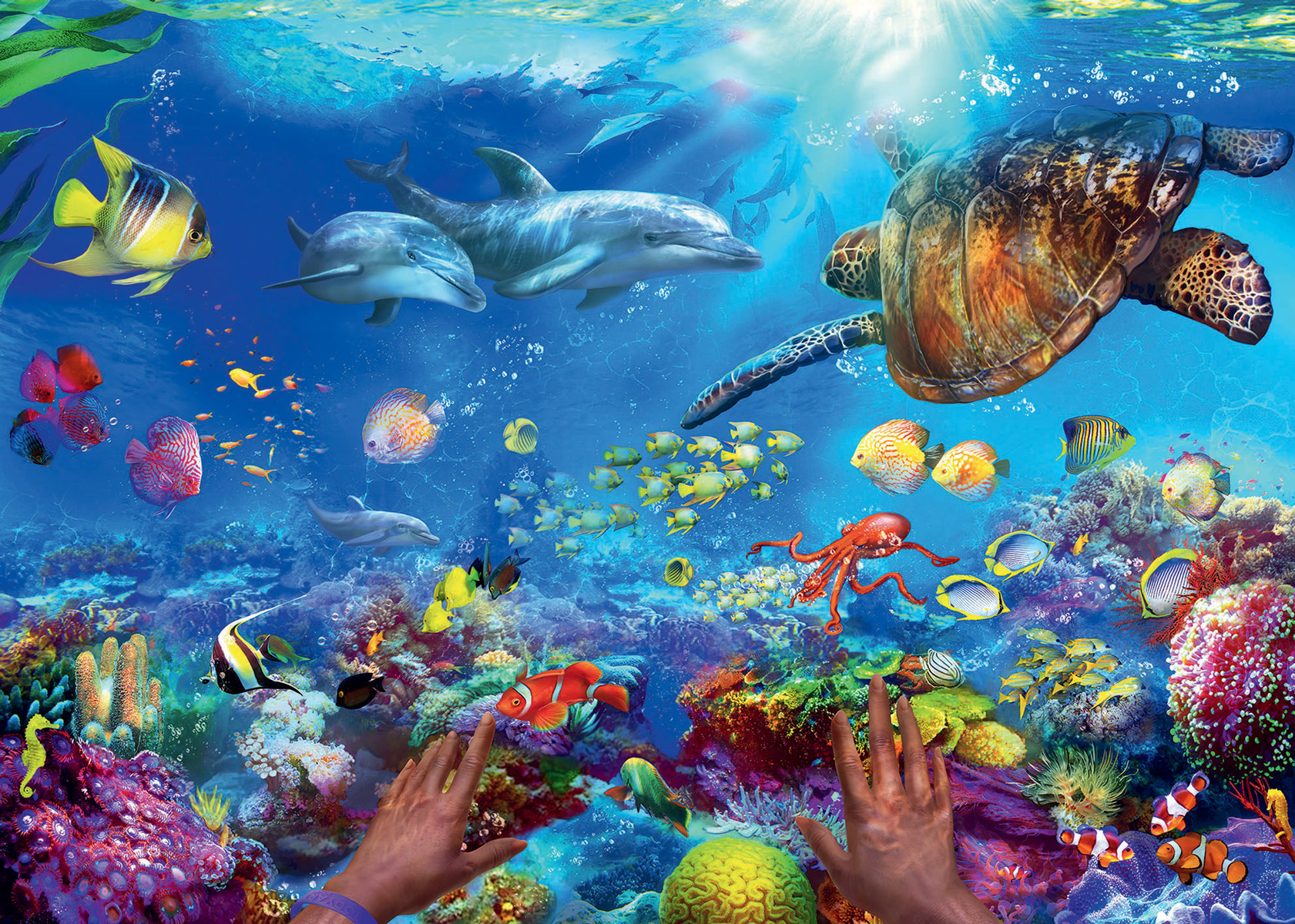 Snorkeling Sea Life Jigsaw Puzzle