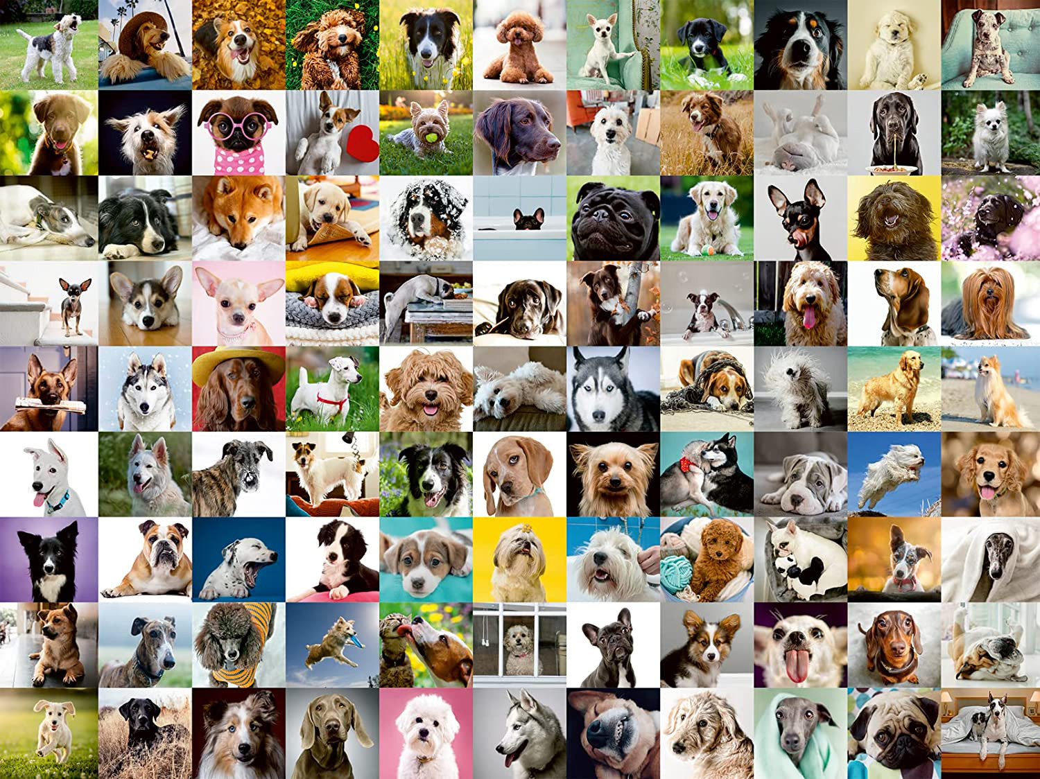 99 Lovable Dogs Dogs Jigsaw Puzzle