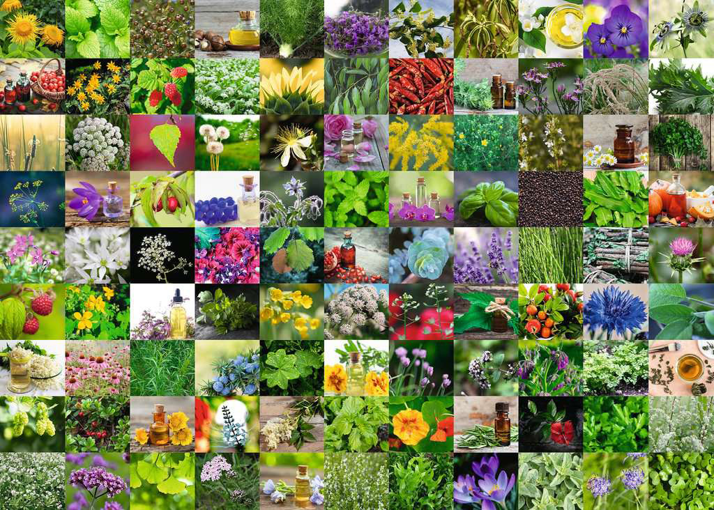 99 Herbs & Spices Flower & Garden Jigsaw Puzzle
