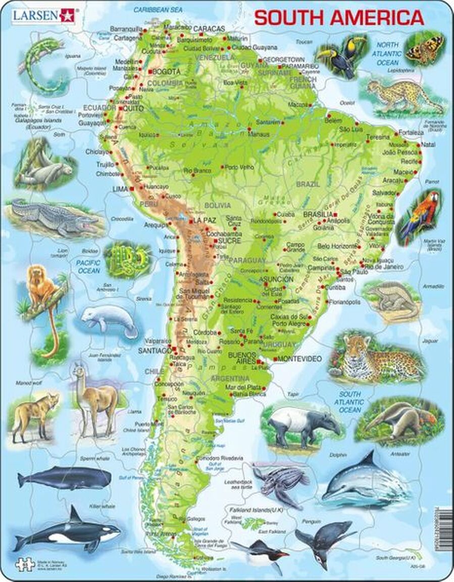 South America Topographic Map