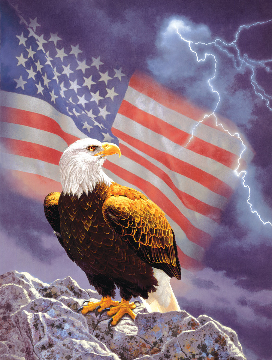 Guardians of Freedom - Scratch and Dent Patriotic Jigsaw Puzzle