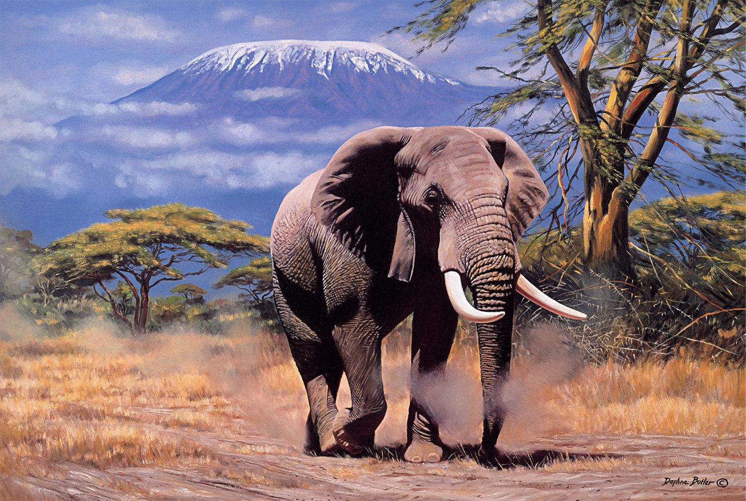 Elephant in Amboseli Jungle Animals Jigsaw Puzzle
