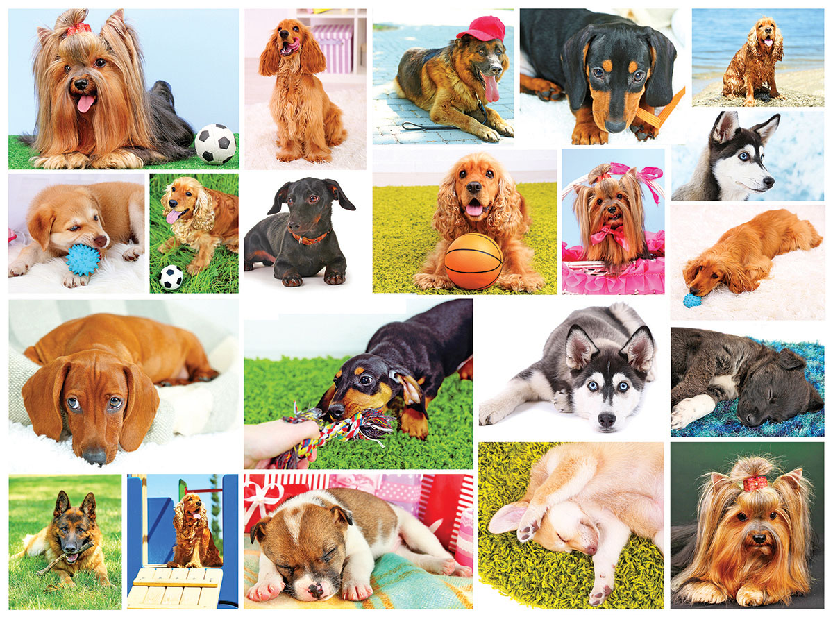 Dogs, 300 Pieces, RoseArt | Puzzle Warehouse