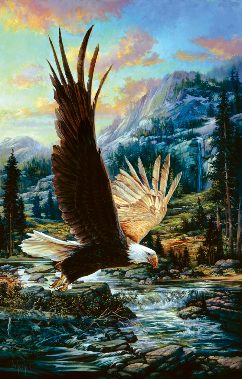 Eagle Sky, 1000 Pieces, SunsOut | Puzzle Warehouse