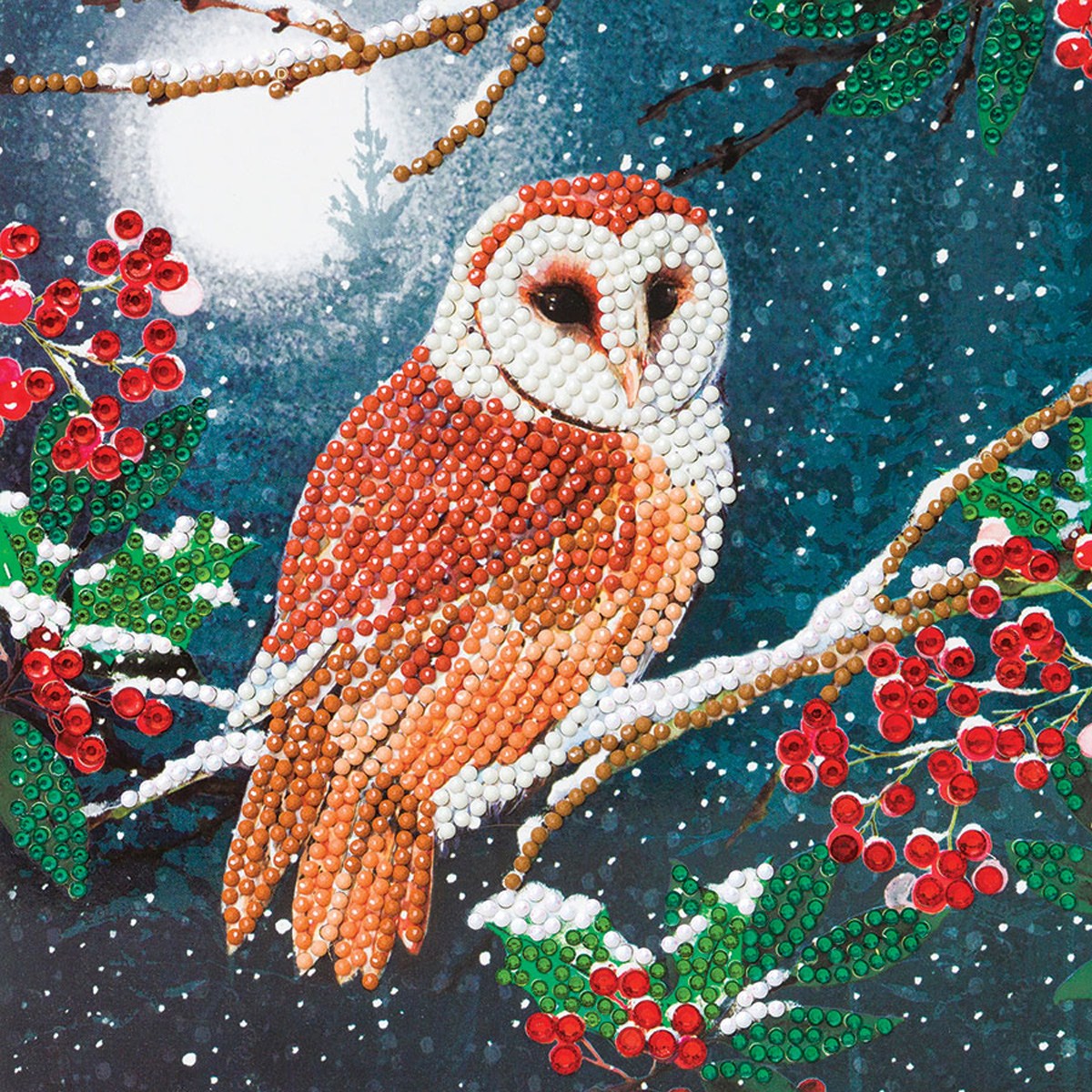 Barn Owl Crystal Art Card Kit