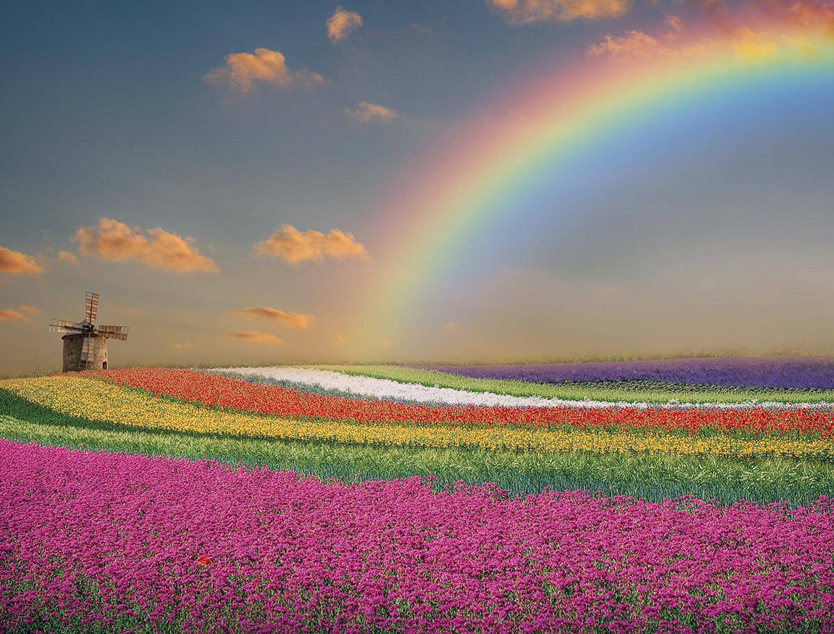 Scenic Rainbow Landscape Jigsaw Puzzle