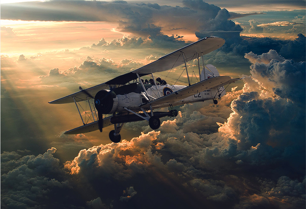 Sentinel in the Clouds Plane Jigsaw Puzzle