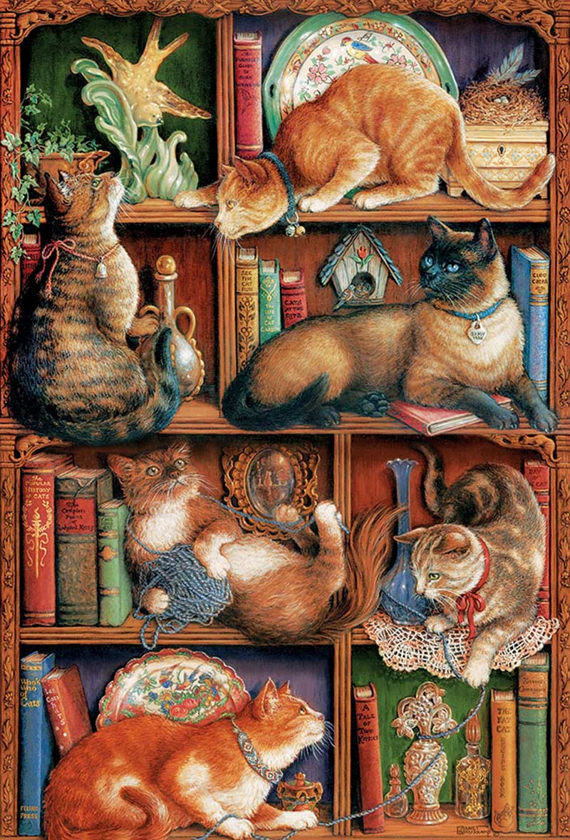 Feline Bookcase