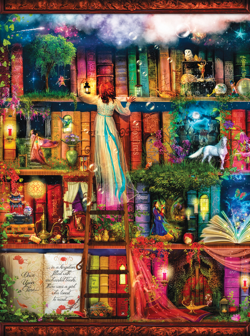 Treasure Hunt Bookshelf 1000 Pieces, Magical Bookcase Puzzle Serious Puzzles