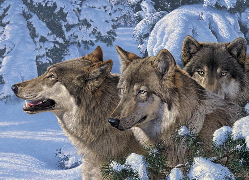 Wolves of Winter, 1000 Pieces, Cobble Hill | Puzzle Warehouse