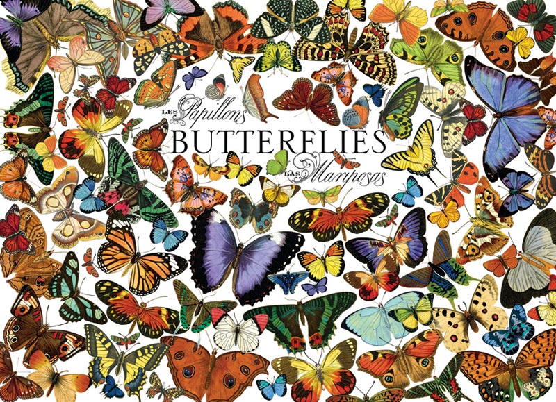 Butterflies - Scratch and Dent Butterflies and Insects Jigsaw Puzzle