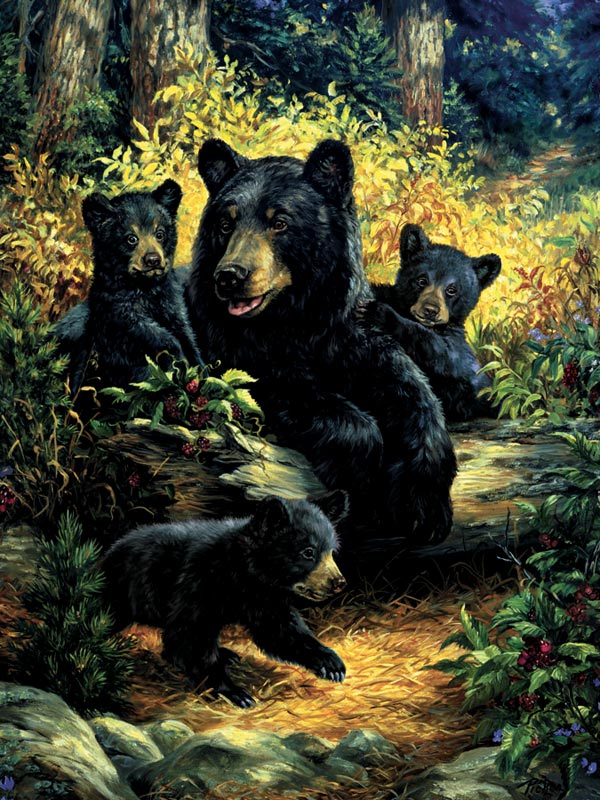 Blackberry Bears, 500 Pieces, Cobble Hill | Puzzle Warehouse