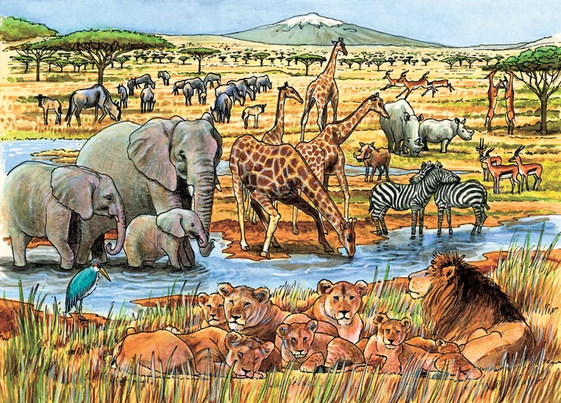 Out of Africa, 35 Pieces, Cobble Hill | Puzzle Warehouse