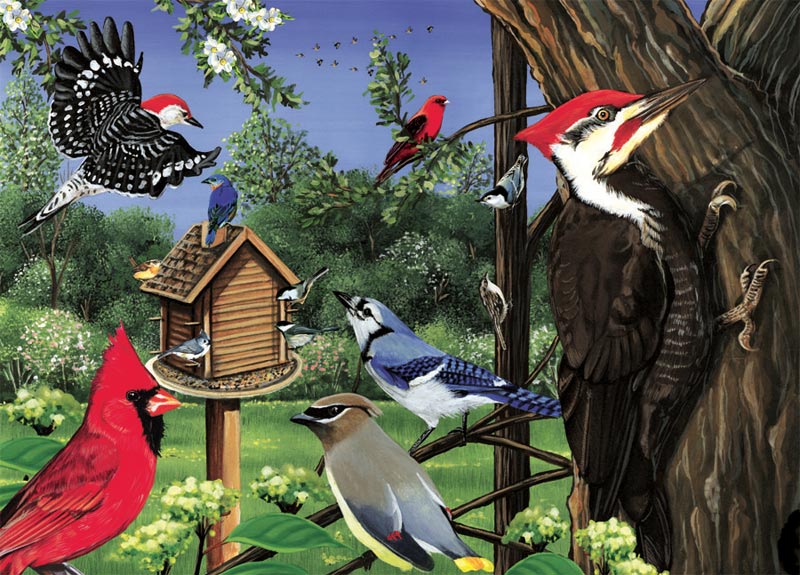puzzles for birds