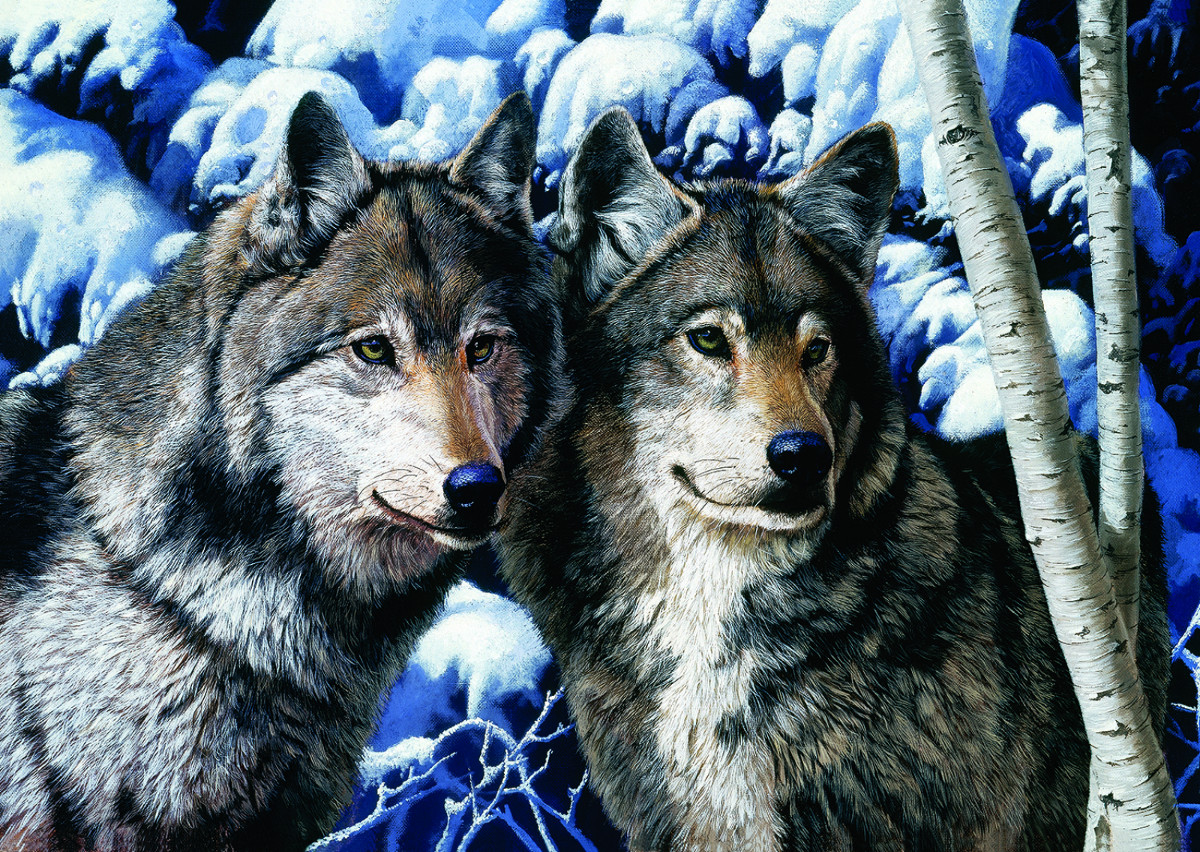 Wolves, 1000 Pieces, Trefl | Puzzle Warehouse