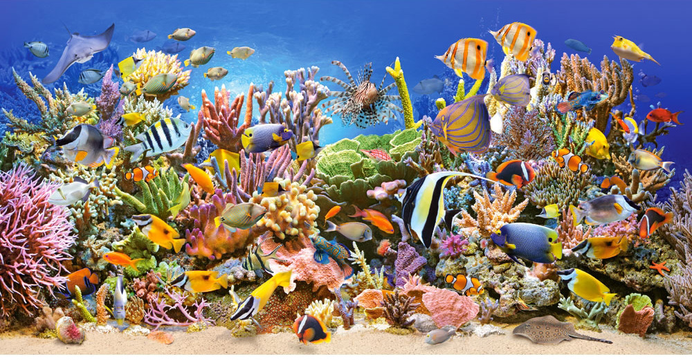 Underwater life Sea Life Jigsaw Puzzle
