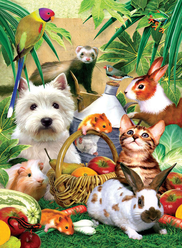 Pets Picnic, 300 Pieces, SunsOut | Puzzle Warehouse