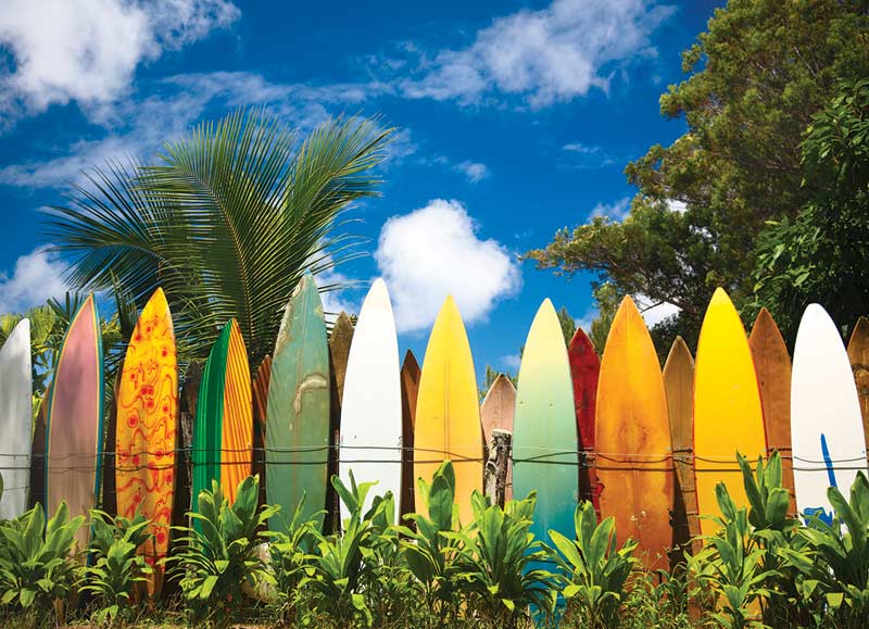 Surfer's Paradise, HI Sports Jigsaw Puzzle