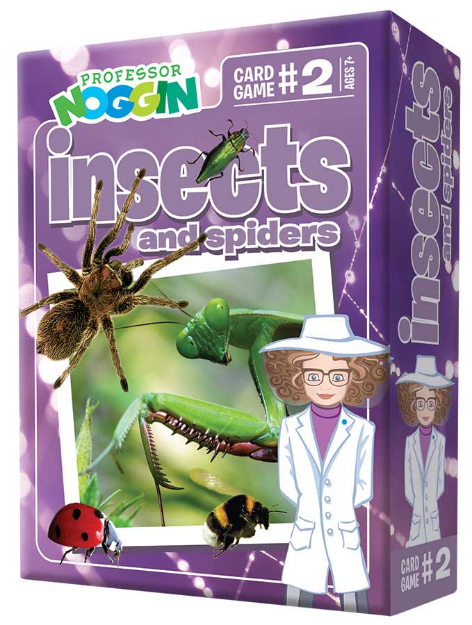 Professor Noggin's Insects & Spiders