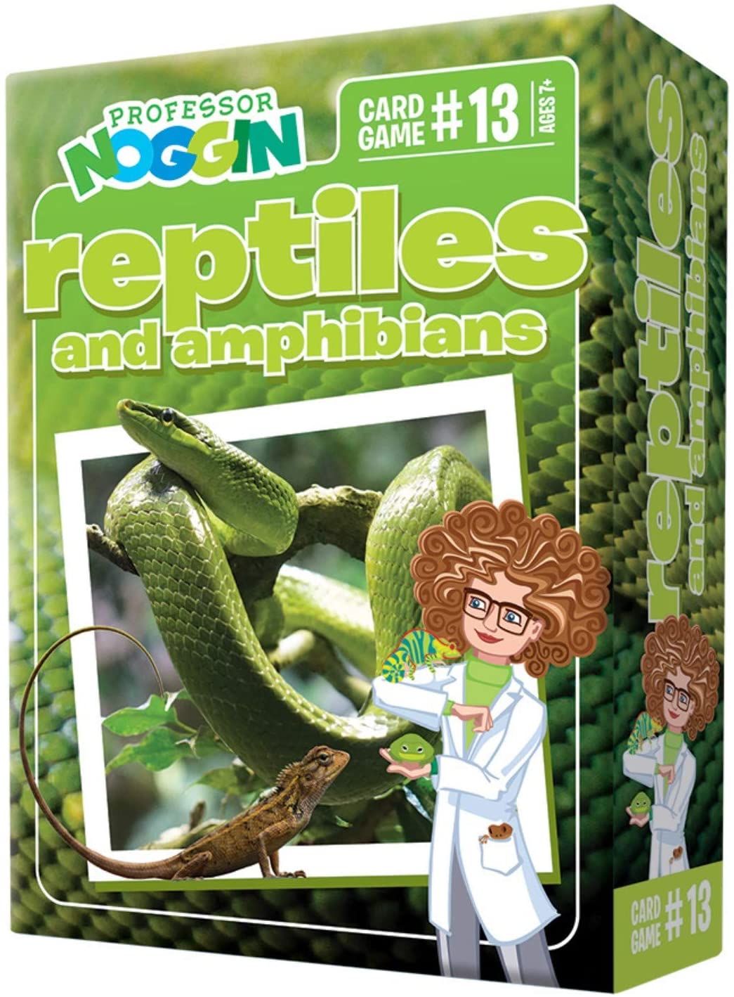 Professor Noggin Reptiles and Amphibians