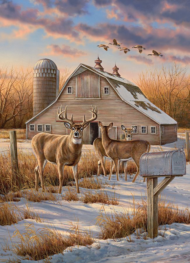 Rural Route Animals Jigsaw Puzzle