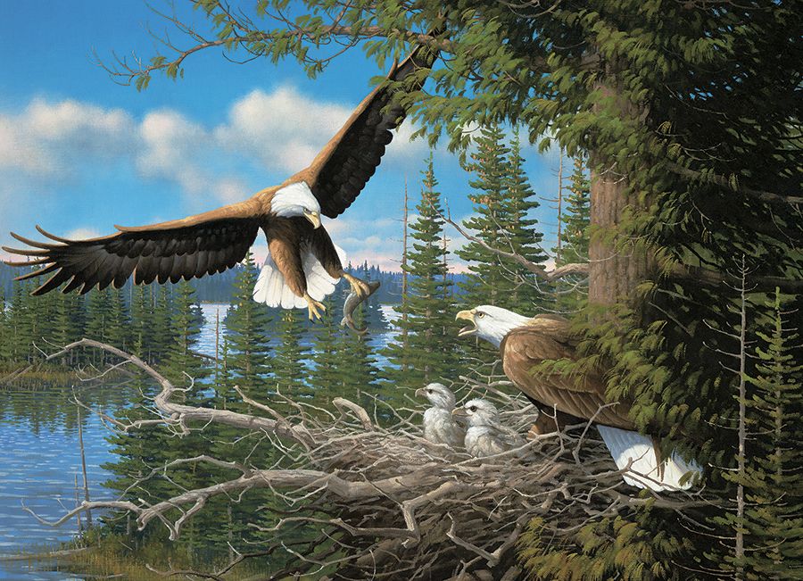 Nesting Eagles Birds Jigsaw Puzzle