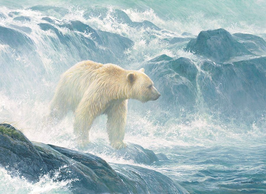 Salmon Watch - Spirit Bear Bear Jigsaw Puzzle