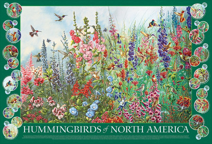 Hummingbirds of North America Birds Jigsaw Puzzle
