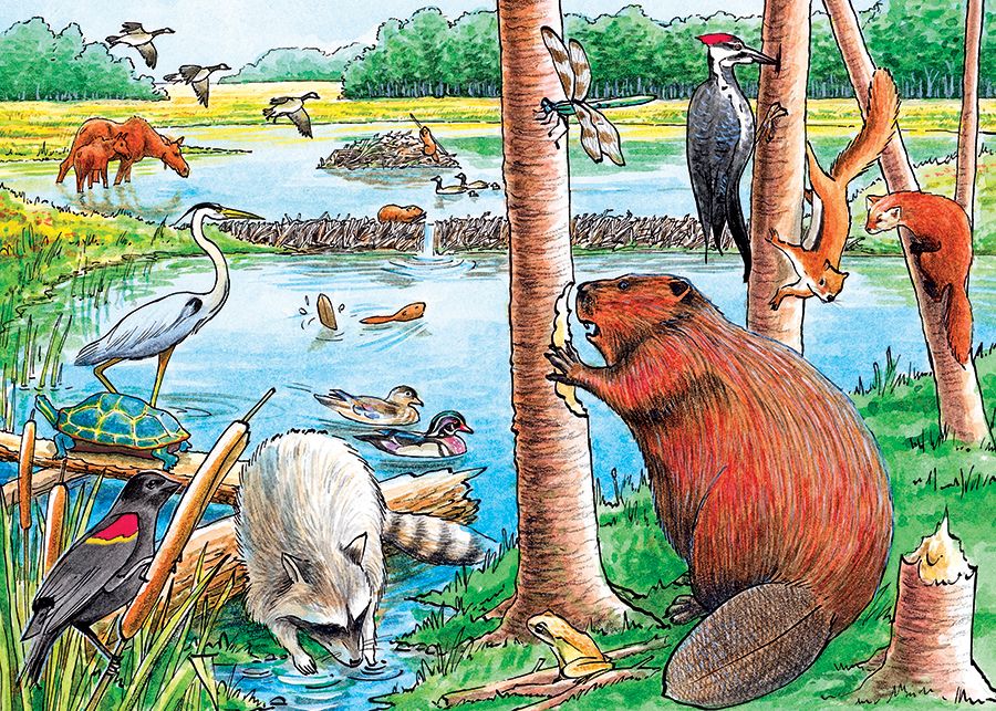 The Beaver Pond Forest Animal Jigsaw Puzzle