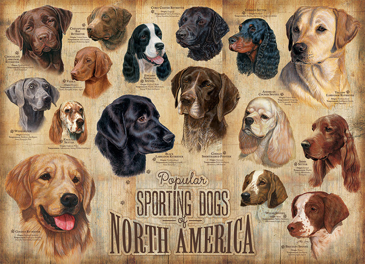 Плакат породы собак