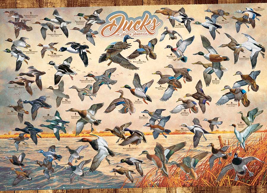 Cobble Hill Adirondack Birds Jigsaw Puzzle ~ 1,000 Piece Puzzle With Poster 
