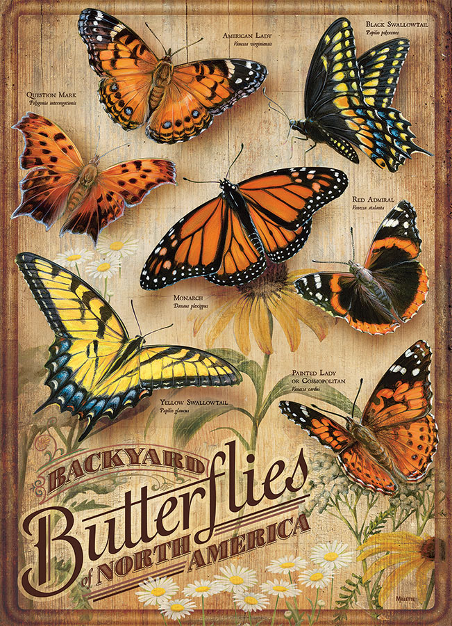 Backyard Butterflies Butterflies and Insects Jigsaw Puzzle