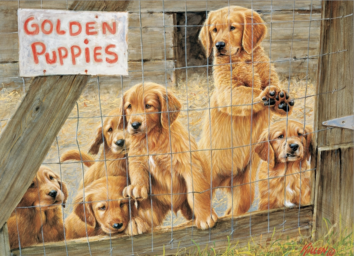 Golden Puppies Dogs Jigsaw Puzzle