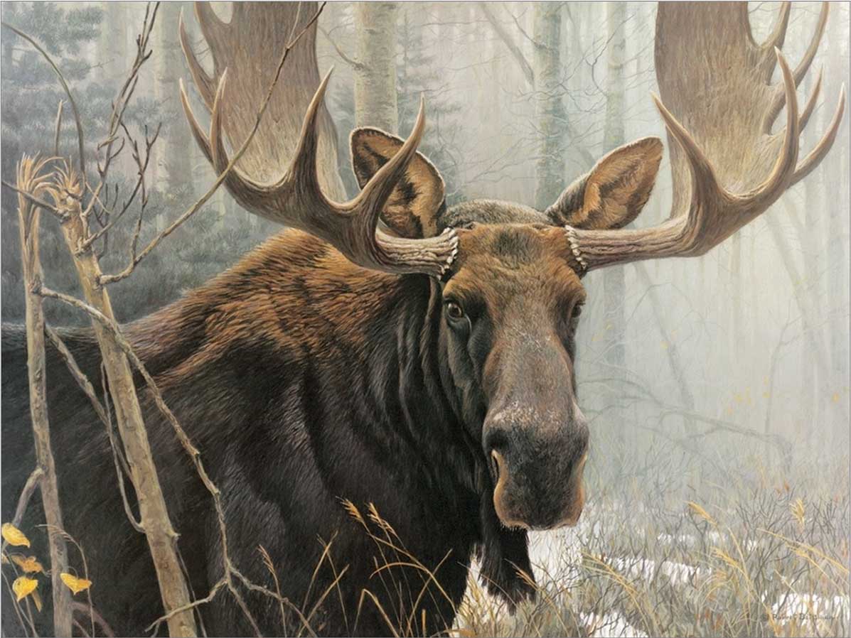 Bull Moose Forest Animal Jigsaw Puzzle