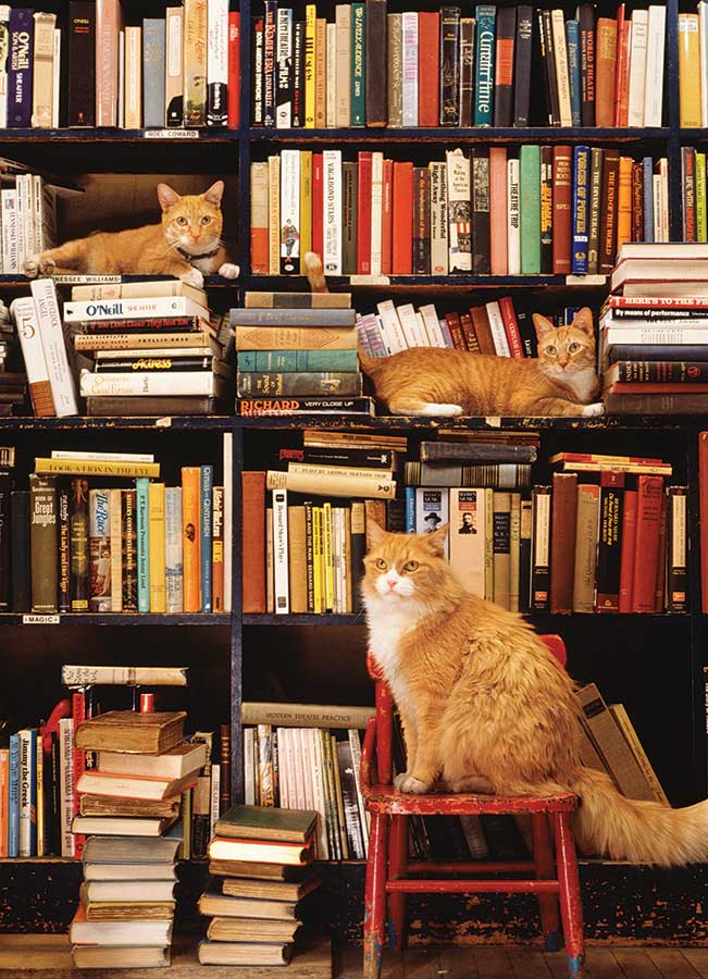 Gotham Bookstore Cats Cats Jigsaw Puzzle