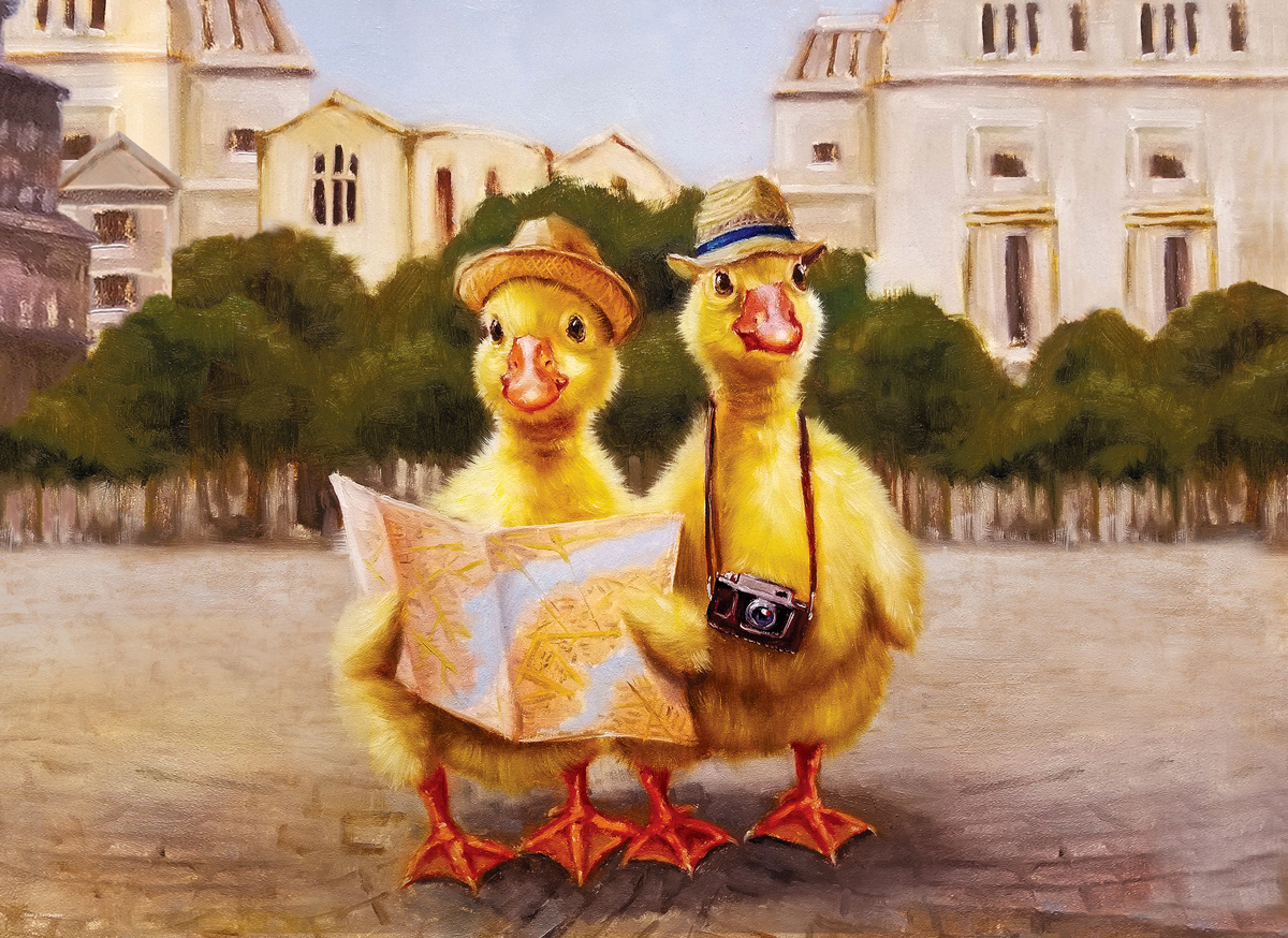 Duck Tours Travel Jigsaw Puzzle