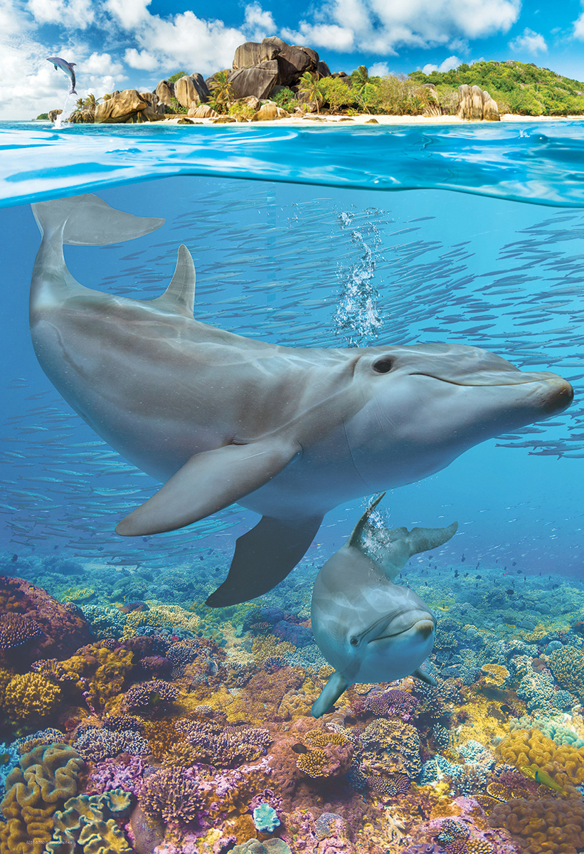 Dolphins Sea Life Jigsaw Puzzle