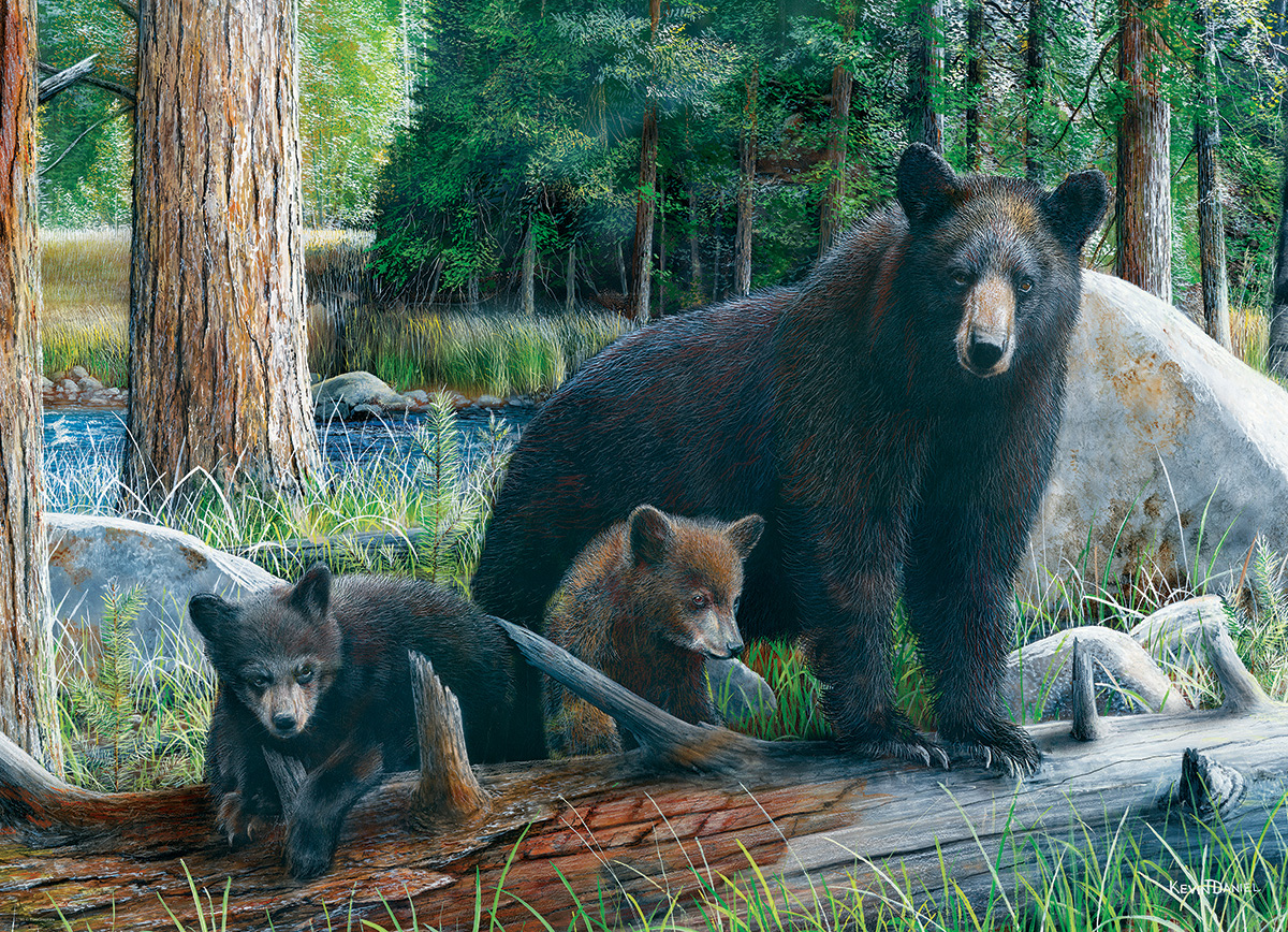 New Discoveries Bears Jigsaw Puzzle