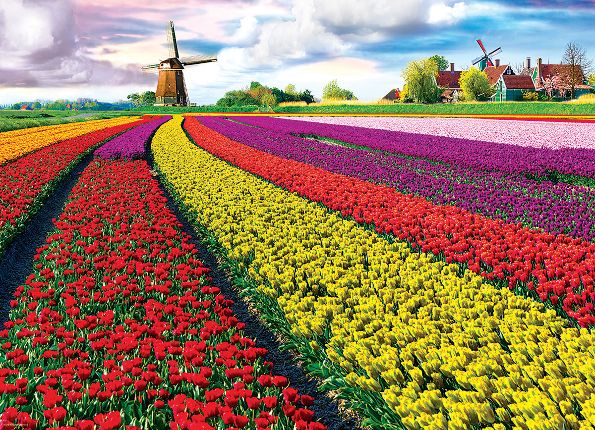 Tulip Field - Netherlands Flowers Jigsaw Puzzle
