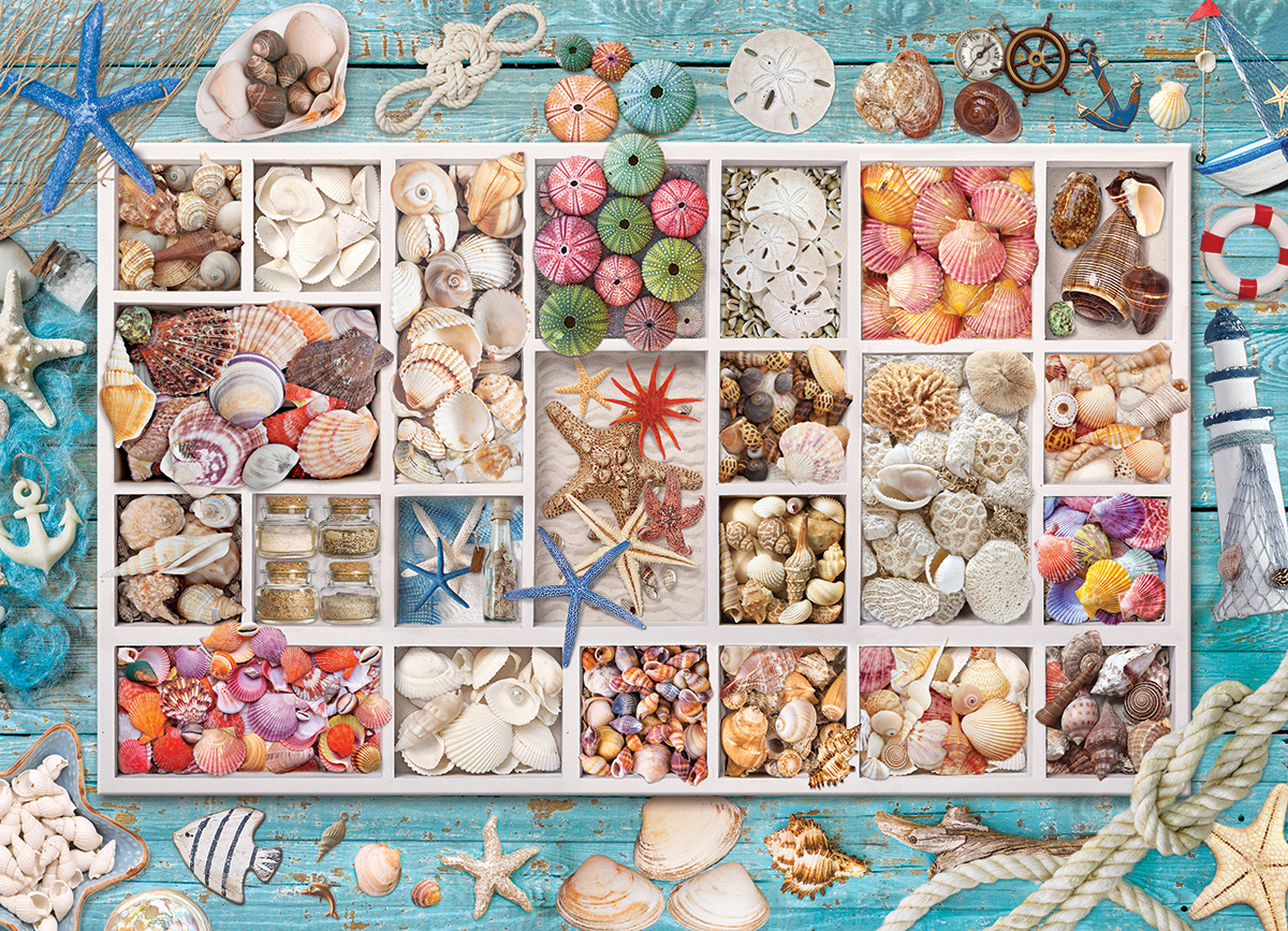 Seashell Collection Sea Life Jigsaw Puzzle
