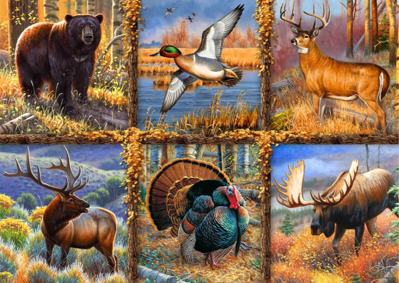 American Game Forest Animal Jigsaw Puzzle