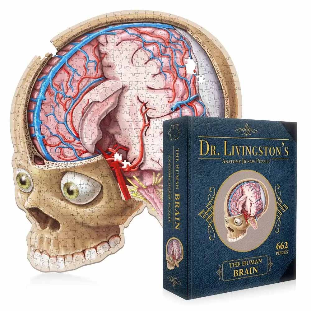Dr. Livingston's Anatomy Jigsaw Puzzle: The Human Brain Educational Shaped Puzzle