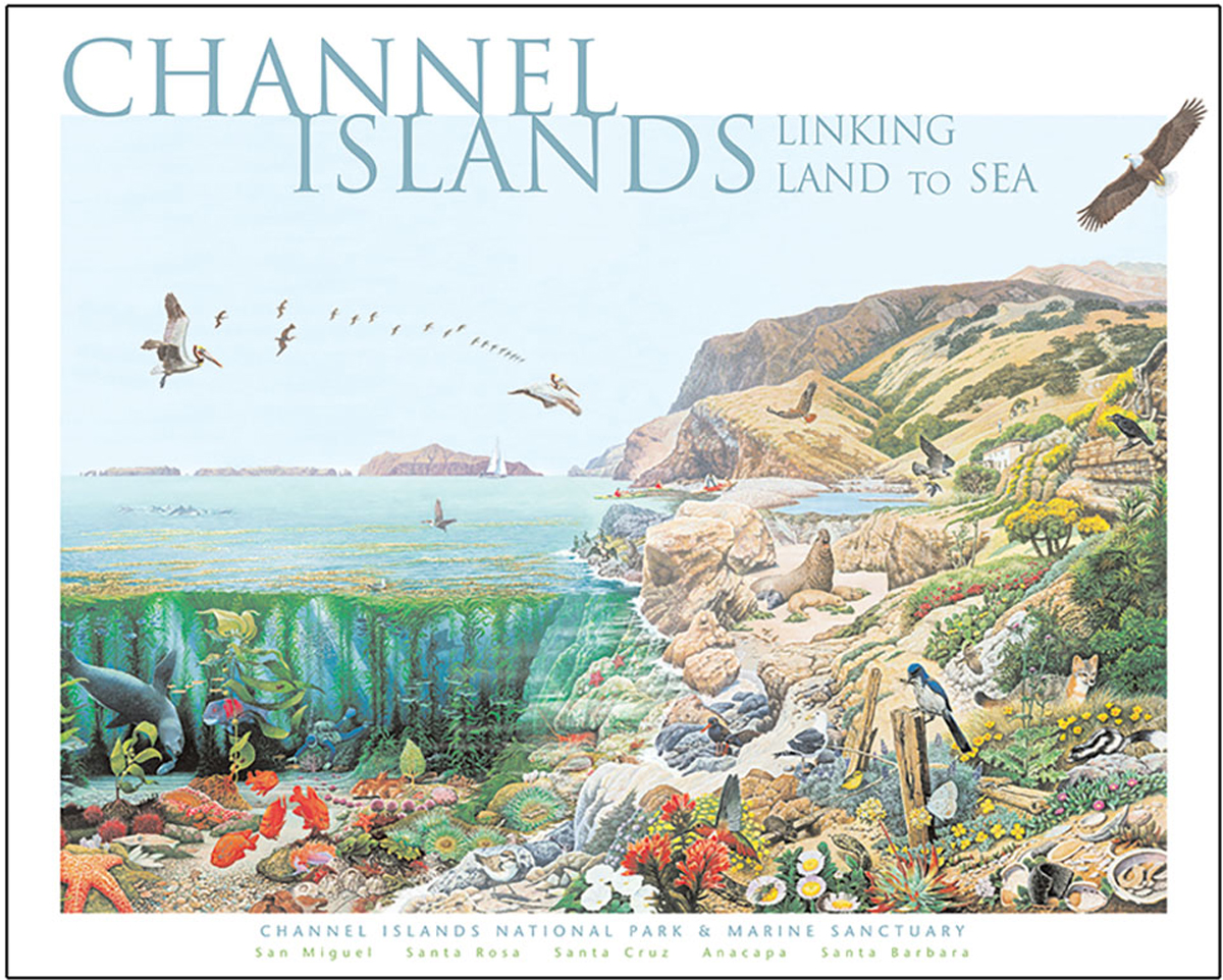 Channel Islands National Park National Parks Jigsaw Puzzle