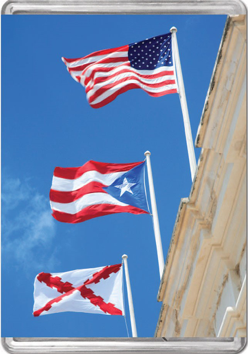 Flags Of Puerto Rico MiniPix® Puzzle Photography Jigsaw Puzzle