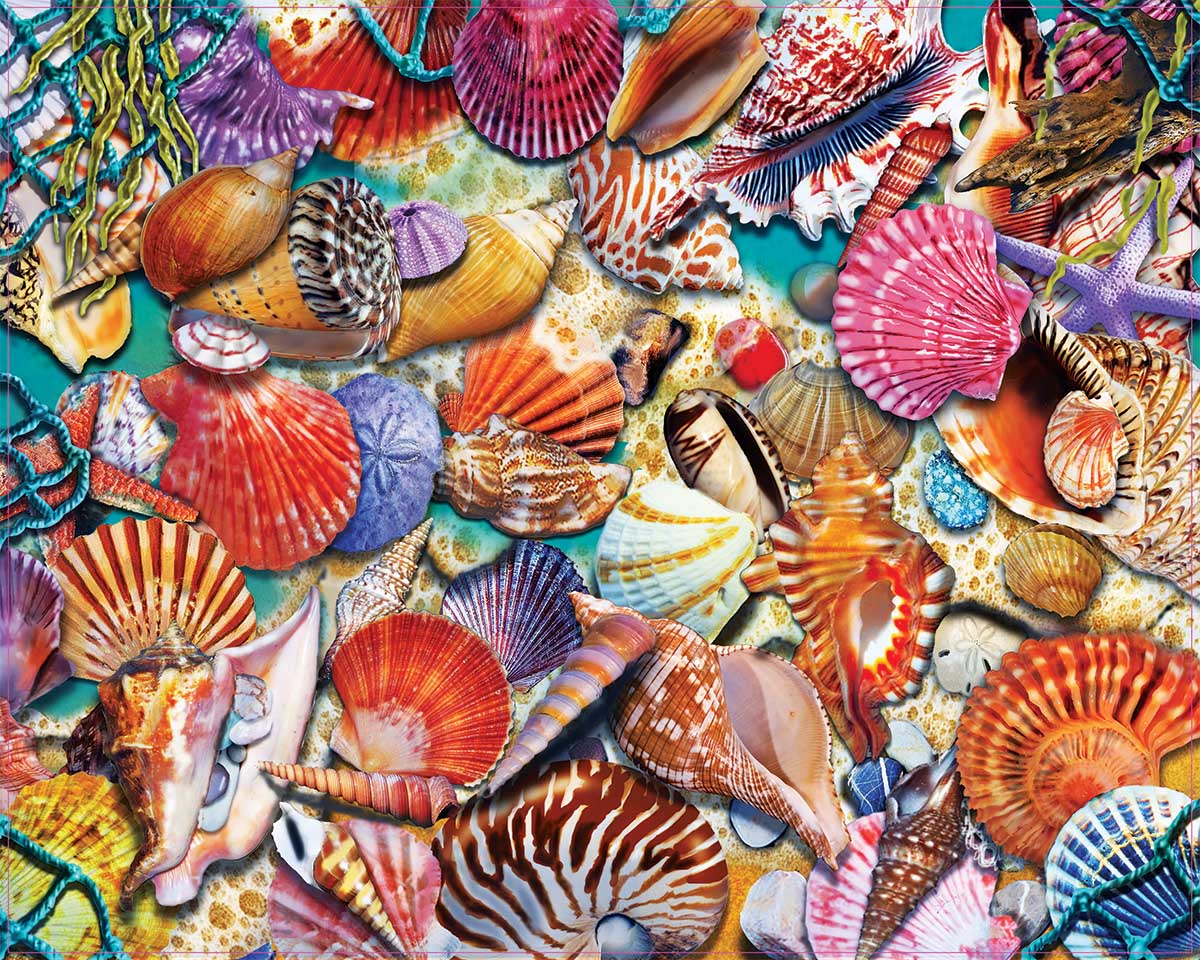 Coastal Shells, 1000 Pieces, Heritage Puzzles | Puzzle Warehouse