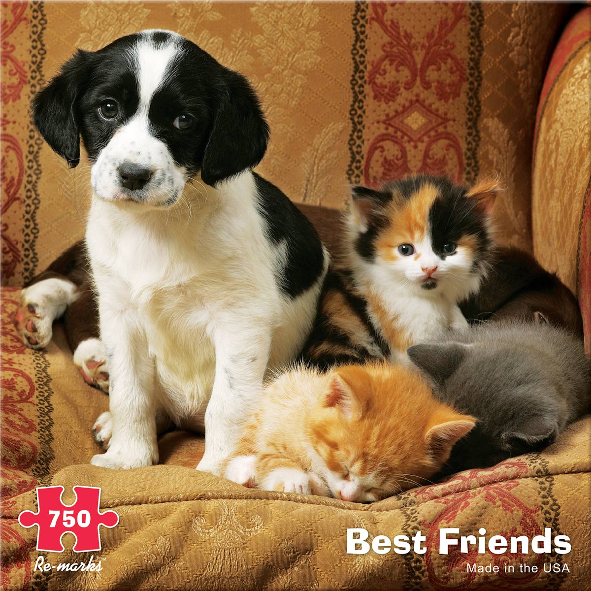 Best Friends Cats Jigsaw Puzzle