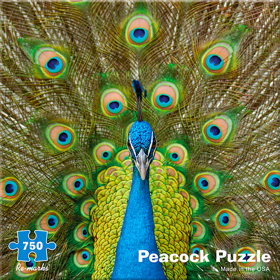 Peacock, 750 Pieces, Re-marks | Puzzle Warehouse