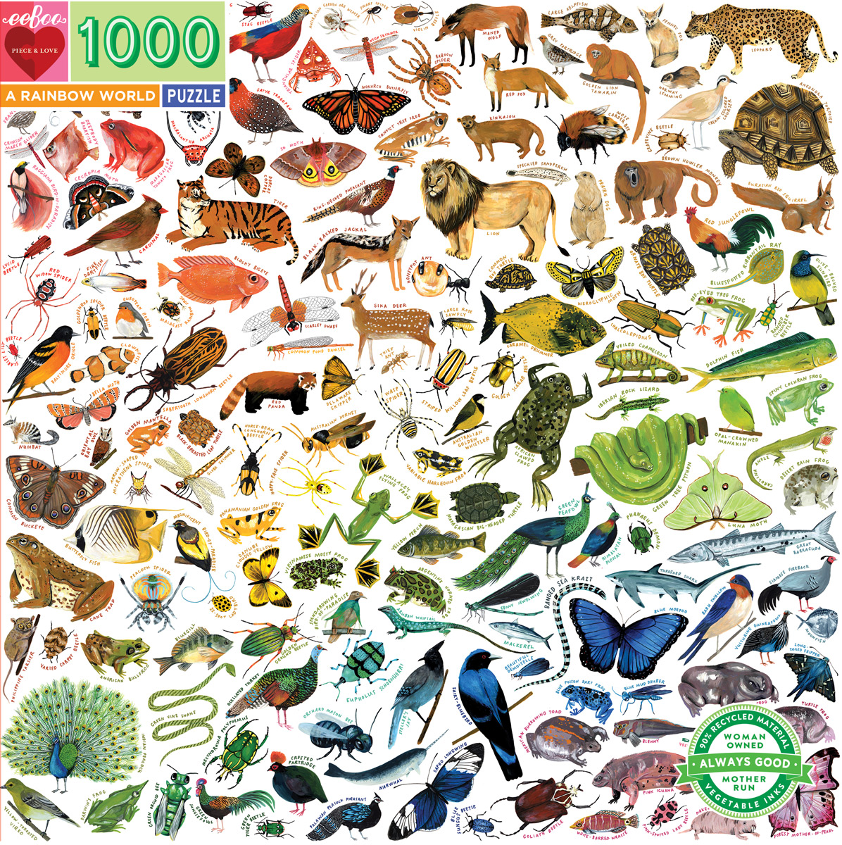 Eeboo A Rainbow World 1000 Piece Jigsaw Puzzle