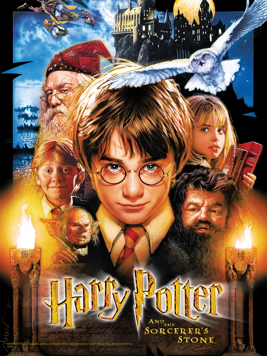 Harry Potter™ and the Sorcerer's Stone, 550 Pieces, USAopoly